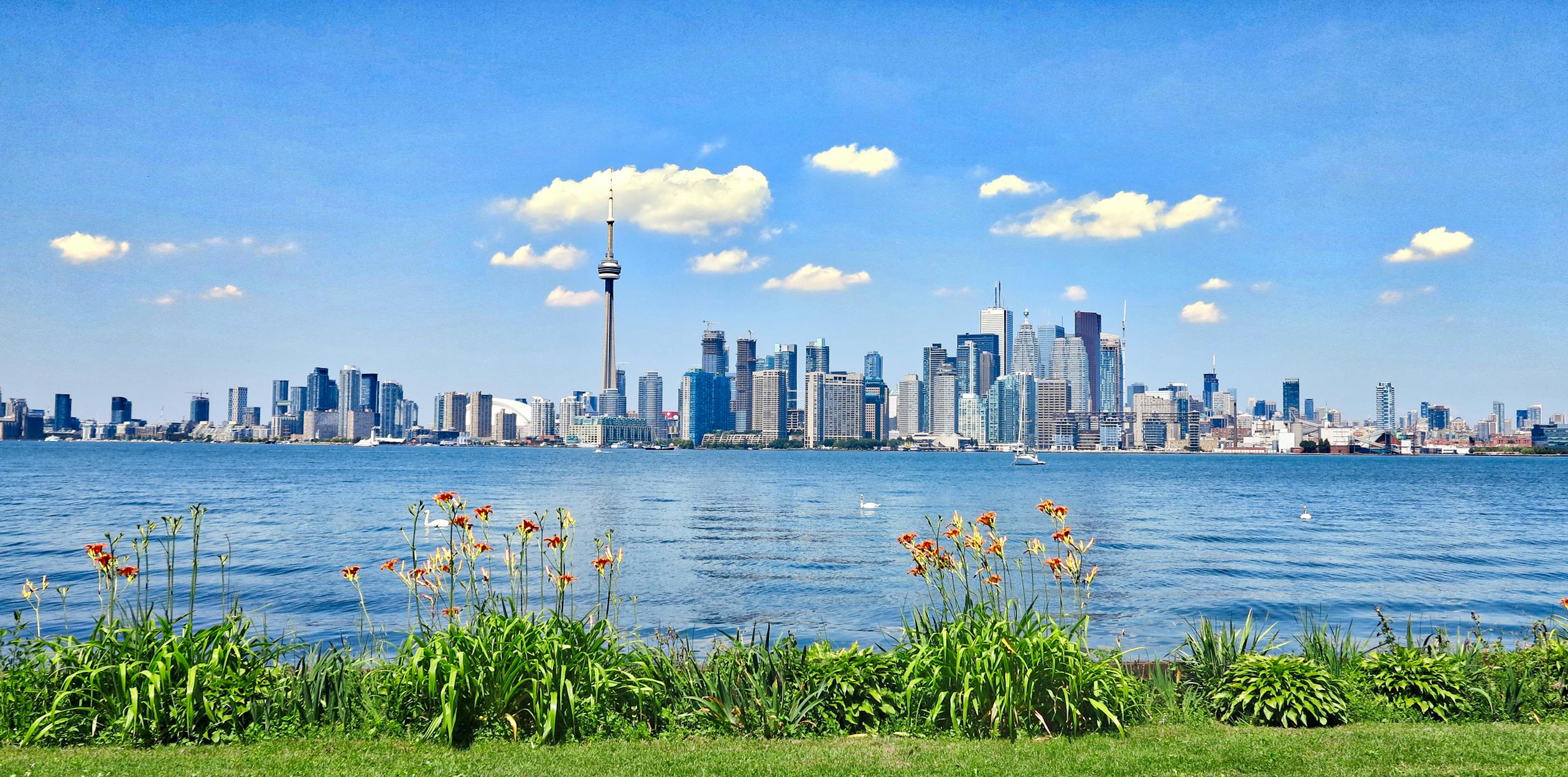 Where to Live in Toronto, Canada: A Guide